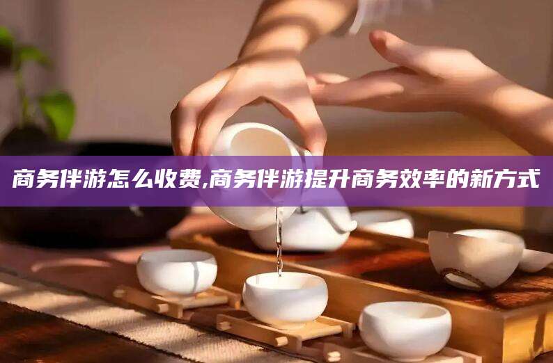 阿里商务伴游怎么收费,商务伴游提升商务效率的新方式